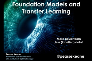 Foundation models and transfer learning: more power from less data