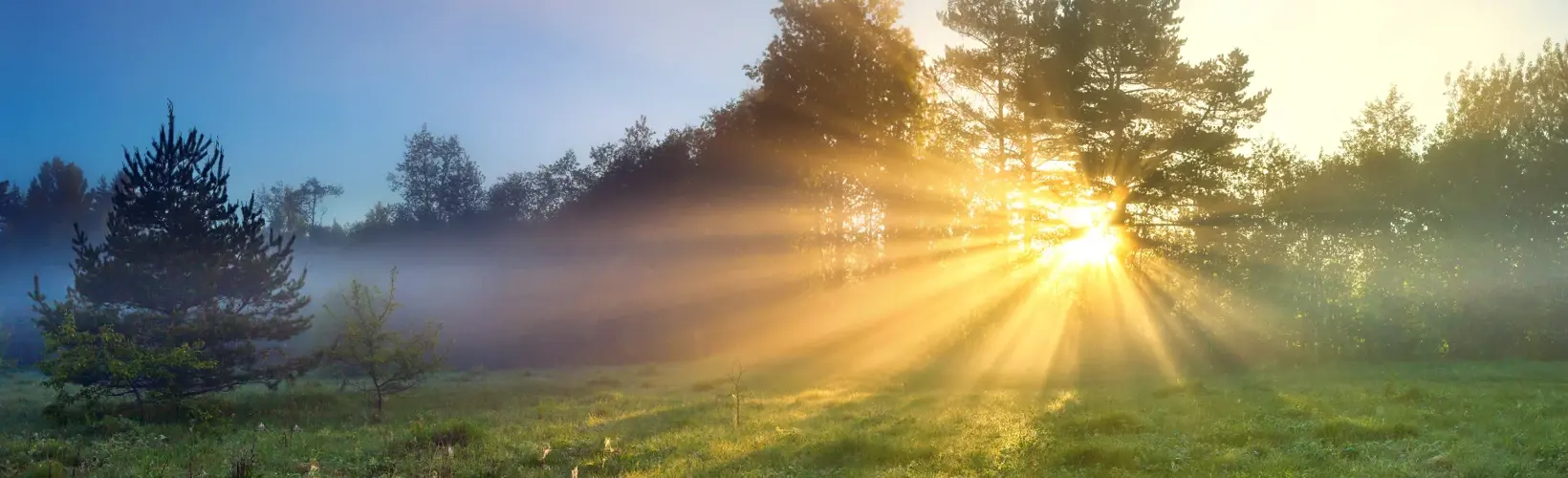 Banner image for Ray of a New Dawn in Corneal Infection Research