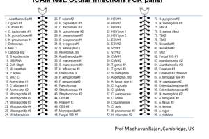 Dedicated PCR Infection Panel to Speed Up Diagnosis