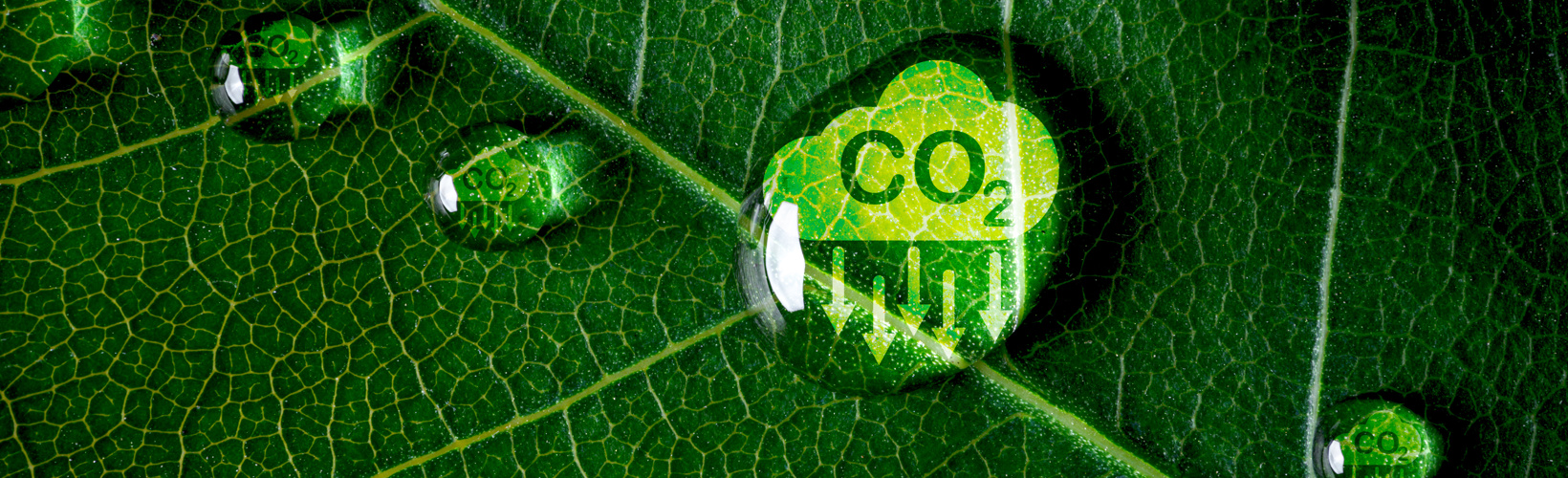 Banner image for Greener Cataract Surgery: Less Waste, Lower Costs