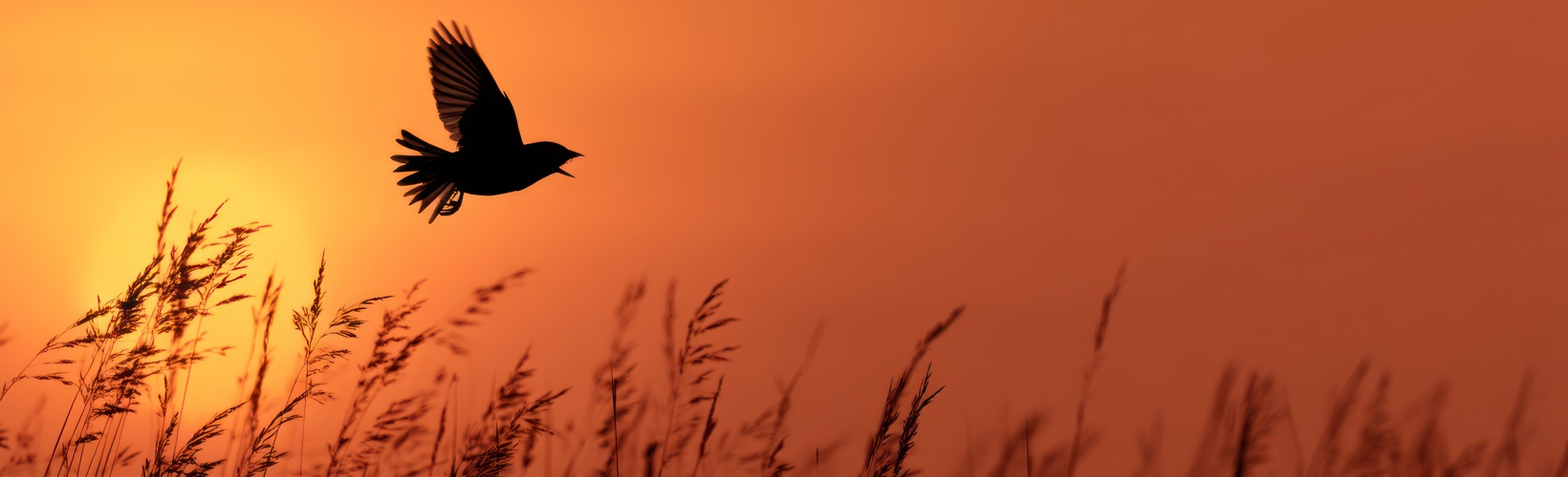 Banner image for Targeting the Intravitreal Treatment Burden