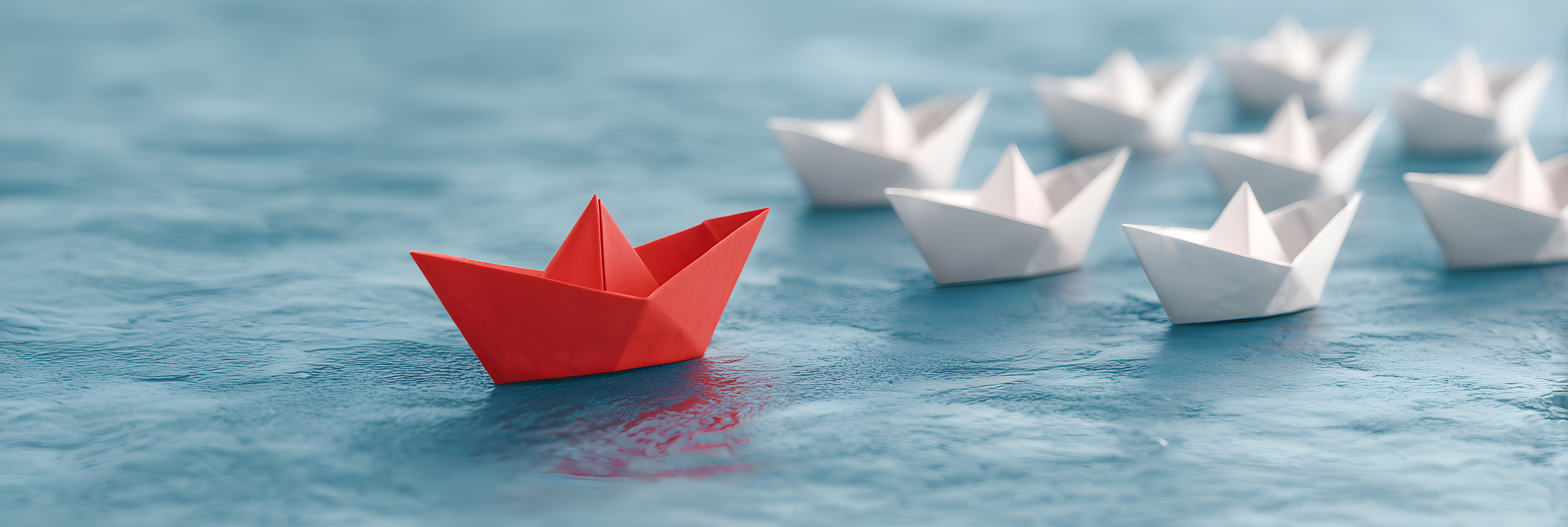 ESCRS Launching Business Accelerator Programme