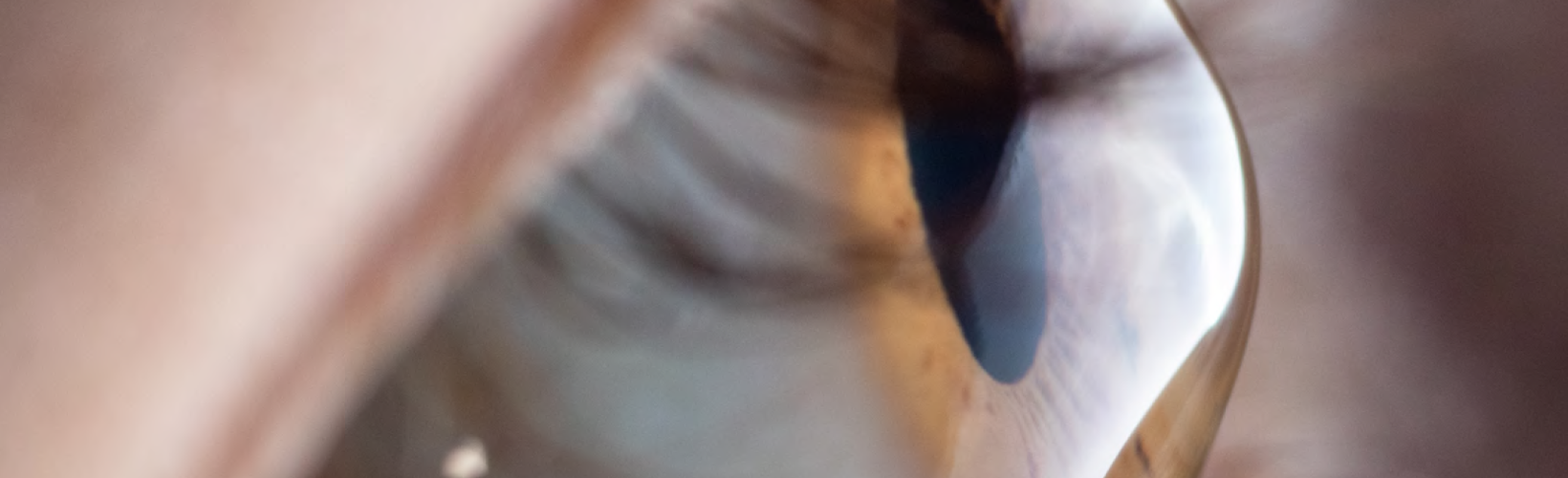 A New Era in Treating Corneal Disease